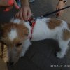 Соціальний проект 